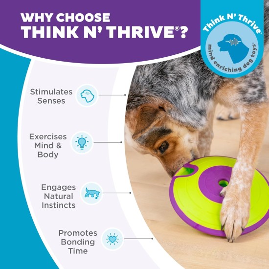 Outward Hound Nina Ottosson MultiPuzzle, Thinking Toy for Dogs, Treat Trays, Interactive Outward Hound Nina Ottosson MultiPuzzle, Thinking Toy for Dogs, Treat Trays, Interactive
