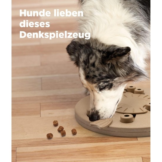 Outward Hound Nina Ottosson MultiPuzzle, Thinking Toy for Dogs, Treat Trays, Interactive Outward Hound Nina Ottosson MultiPuzzle, Thinking Toy for Dogs, Treat Trays, Interactive