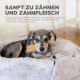 Outward Hound Nina Ottosson MultiPuzzle, Thinking Toy for Dogs, Treat Trays, Interactive Outward Hound Nina Ottosson MultiPuzzle, Thinking Toy for Dogs, Treat Trays, Interactive