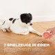 Outward Hound Nina Ottosson Puppy Smart, Interactive Treat Thinking Toy for Dogs, Blue Outward Hound Nina Ottosson Puppy Smart, Interactive Treat Thinking Toy for Dogs, Blue