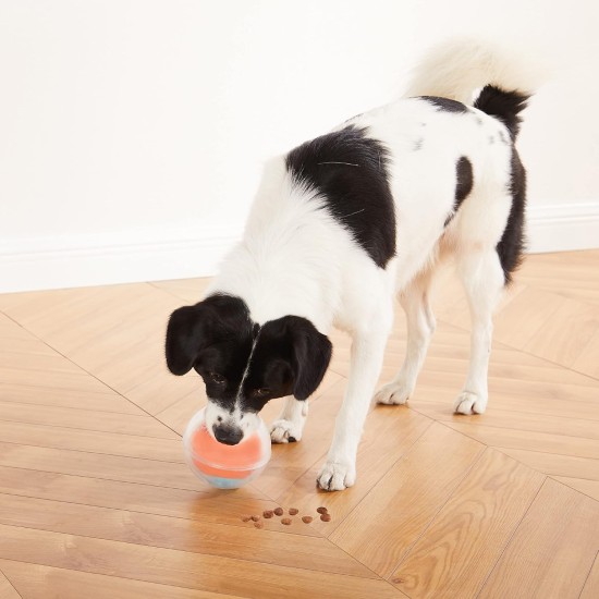 Outward Hound Nina Ottosson Puppy Smart, Interactive Treat Thinking Toy for Dogs, Blue Outward Hound Nina Ottosson Puppy Smart, Interactive Treat Thinking Toy for Dogs, Blue