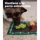 Outward Hound Nina Ottosson Puppy Smart, Interactive Treat Thinking Toy for Dogs, Blue Outward Hound Nina Ottosson Puppy Smart, Interactive Treat Thinking Toy for Dogs, Blue