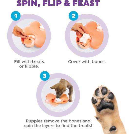 Outward Hound Nina Ottosson Puppy Smart, Interactive Treat Thinking Toy for Dogs, Blue Outward Hound Nina Ottosson Puppy Smart, Interactive Treat Thinking Toy for Dogs, Blue