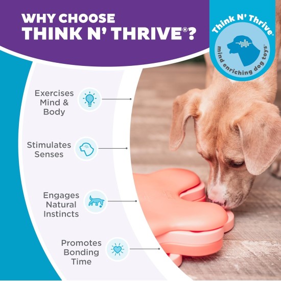 Outward Hound Nina Ottosson Puppy Smart, Interactive Treat Thinking Toy for Dogs, Blue Outward Hound Nina Ottosson Puppy Smart, Interactive Treat Thinking Toy for Dogs, Blue