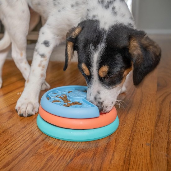 Outward Hound Nina Ottosson Puppy Smart, Interactive Treat Thinking Toy for Dogs, Blue Outward Hound Nina Ottosson Puppy Smart, Interactive Treat Thinking Toy for Dogs, Blue