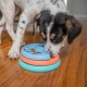 Outward Hound Nina Ottosson Puppy Smart, Interactive Treat Thinking Toy for Dogs, Blue Outward Hound Nina Ottosson Puppy Smart, Interactive Treat Thinking Toy for Dogs, Blue