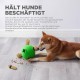 Outward Hound Nina Ottosson Puppy Smart, Interactive Treat Thinking Toy for Dogs, Blue Outward Hound Nina Ottosson Puppy Smart, Interactive Treat Thinking Toy for Dogs, Blue