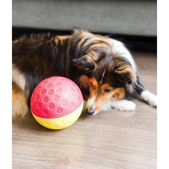 Outward Hound Nina Ottosson Puppy Smart, Interactive Treat Thinking Toy for Dogs, Blue Outward Hound Nina Ottosson Puppy Smart, Interactive Treat Thinking Toy for Dogs, Blue