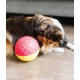 Outward Hound Nina Ottosson Puppy Smart, Interactive Treat Thinking Toy for Dogs, Blue Outward Hound Nina Ottosson Puppy Smart, Interactive Treat Thinking Toy for Dogs, Blue