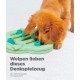 Outward Hound Nina Ottosson Puppy Smart, Interactive Treat Thinking Toy for Dogs, Blue Outward Hound Nina Ottosson Puppy Smart, Interactive Treat Thinking Toy for Dogs, Blue