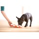Outward Hound Nina Ottosson Treat Maze, Interactive Dog Toy for Treats, Starter Level Outward Hound Nina Ottosson Treat Maze, Interactive Dog Toy for Treats, Starter Level
