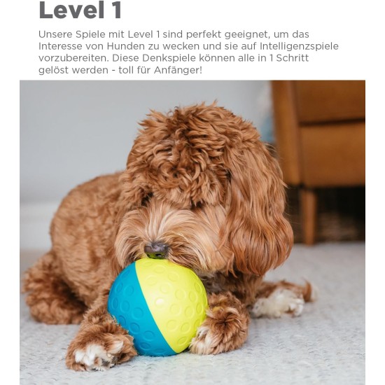 Outward Hound Nina Ottosson Treat Tumble, Interactive Treat Intelligence Toy for Dogs, Blue, Small Outward Hound Nina Ottosson Treat Tumble, Interactive Treat Intelligence Toy for Dogs, Blue, Small