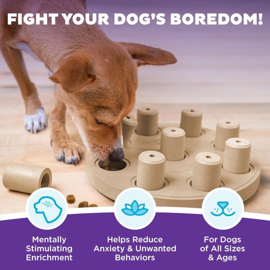 Outward Hound Nina Ottosson Treat Tumble, Interactive Treat Intelligence Toy for Dogs, Blue, Small Outward Hound Nina Ottosson Treat Tumble, Interactive Treat Intelligence Toy for Dogs, Blue, Small