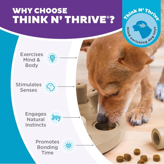 Outward Hound Nina Ottosson Treat Tumble, Interactive Treat Intelligence Toy for Dogs, Blue, Small Outward Hound Nina Ottosson Treat Tumble, Interactive Treat Intelligence Toy for Dogs, Blue, Small
