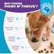 Outward Hound Nina Ottosson Treat Tumble, Interactive Treat Intelligence Toy for Dogs, Blue, Small Outward Hound Nina Ottosson Treat Tumble, Interactive Treat Intelligence Toy for Dogs, Blue, Small