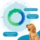 Outward Hound Petstages Orka Dental Chew Toy for Small Dogs and Puppies - Pack of 3 Outward Hound Petstages Orka Dental Chew Toy for Small Dogs and Puppies - Pack of 3