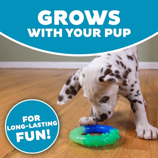 Outward Hound Petstages Orka Dental Chew Toy for Small Dogs and Puppies - Pack of 3 Outward Hound Petstages Orka Dental Chew Toy for Small Dogs and Puppies - Pack of 3