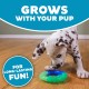 Outward Hound Petstages Orka Dental Chew Toy for Small Dogs and Puppies - Pack of 3 Outward Hound Petstages Orka Dental Chew Toy for Small Dogs and Puppies - Pack of 3