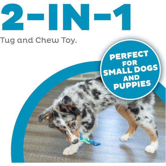 Outward Hound Petstages Orka Dental Chew Toy for Small Dogs and Puppies - Pack of 3 Outward Hound Petstages Orka Dental Chew Toy for Small Dogs and Puppies - Pack of 3