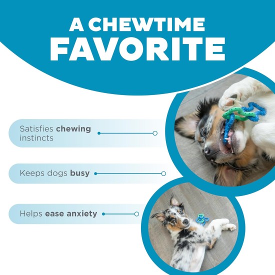 Outward Hound Petstages Orka Dental Chew Toy for Small Dogs and Puppies - Pack of 3 Outward Hound Petstages Orka Dental Chew Toy for Small Dogs and Puppies - Pack of 3