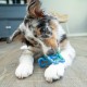 Outward Hound Petstages Orka Dental Chew Toy for Small Dogs and Puppies - Pack of 3 Outward Hound Petstages Orka Dental Chew Toy for Small Dogs and Puppies - Pack of 3