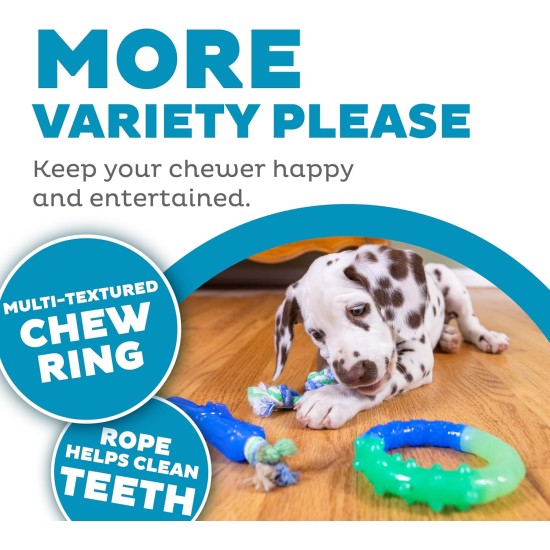Outward Hound Petstages Orka Dental Chew Toy for Small Dogs and Puppies - Pack of 3 Outward Hound Petstages Orka Dental Chew Toy for Small Dogs and Puppies - Pack of 3