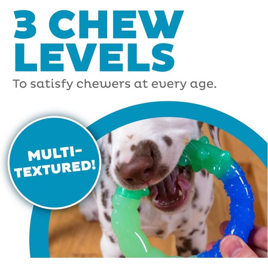 Outward Hound Petstages Orka Dental Chew Toy for Small Dogs and Puppies - Pack of 3 Outward Hound Petstages Orka Dental Chew Toy for Small Dogs and Puppies - Pack of 3
