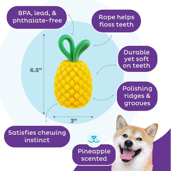 Outward Hound Planet Dog Dental Pineapple Dental Chew Toy and Interactive Treat Stuffer Durable Dog Toy Stuffable Dog Toy, Yellow Outward Hound Planet Dog Dental Pineapple Dental Chew Toy and Interactive Treat Stuffer Durable Dog Toy Stuffable Dog Toy, Yellow