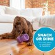 Outward Hound Planet Dog Dental Pineapple Dental Chew Toy and Interactive Treat Stuffer Durable Dog Toy Stuffable Dog Toy, Yellow Outward Hound Planet Dog Dental Pineapple Dental Chew Toy and Interactive Treat Stuffer Durable Dog Toy Stuffable Dog Toy, Yellow