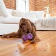 Outward Hound Planet Dog Dental Pineapple Dental Chew Toy and Interactive Treat Stuffer Durable Dog Toy Stuffable Dog Toy, Yellow Outward Hound Planet Dog Dental Pineapple Dental Chew Toy and Interactive Treat Stuffer Durable Dog Toy Stuffable Dog Toy, Yellow