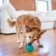 Outward Hound Planet Dog Dental Pineapple Dental Chew Toy and Interactive Treat Stuffer Durable Dog Toy Stuffable Dog Toy, Yellow Outward Hound Planet Dog Dental Pineapple Dental Chew Toy and Interactive Treat Stuffer Durable Dog Toy Stuffable Dog Toy, Yellow