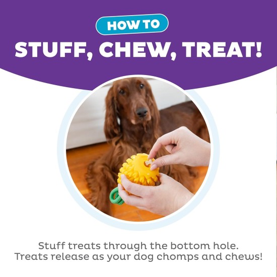 Outward Hound Planet Dog Dental Pineapple Dental Chew Toy and Interactive Treat Stuffer Durable Dog Toy Stuffable Dog Toy, Yellow Outward Hound Planet Dog Dental Pineapple Dental Chew Toy and Interactive Treat Stuffer Durable Dog Toy Stuffable Dog Toy, Yellow
