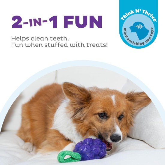 Outward Hound Planet Dog Dental Pineapple Dental Chew Toy and Interactive Treat Stuffer Durable Dog Toy Stuffable Dog Toy, Yellow Outward Hound Planet Dog Dental Pineapple Dental Chew Toy and Interactive Treat Stuffer Durable Dog Toy Stuffable Dog Toy, Yellow