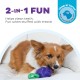 Outward Hound Planet Dog Dental Pineapple Dental Chew Toy and Interactive Treat Stuffer Durable Dog Toy Stuffable Dog Toy, Yellow Outward Hound Planet Dog Dental Pineapple Dental Chew Toy and Interactive Treat Stuffer Durable Dog Toy Stuffable Dog Toy, Yellow