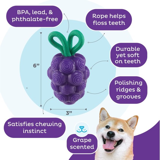 Outward Hound Planet Dog Dental Pineapple Dental Chew Toy and Interactive Treat Stuffer Durable Dog Toy Stuffable Dog Toy, Yellow Outward Hound Planet Dog Dental Pineapple Dental Chew Toy and Interactive Treat Stuffer Durable Dog Toy Stuffable Dog Toy, Yellow