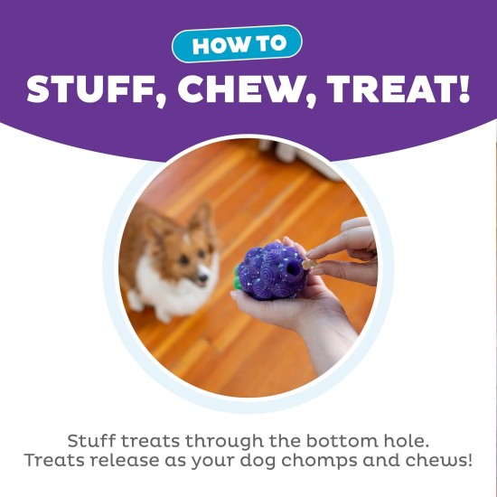 Outward Hound Planet Dog Dental Pineapple Dental Chew Toy and Interactive Treat Stuffer Durable Dog Toy Stuffable Dog Toy, Yellow Outward Hound Planet Dog Dental Pineapple Dental Chew Toy and Interactive Treat Stuffer Durable Dog Toy Stuffable Dog Toy, Yellow
