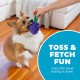 Outward Hound Planet Dog Dental Pineapple Dental Chew Toy and Interactive Treat Stuffer Durable Dog Toy Stuffable Dog Toy, Yellow Outward Hound Planet Dog Dental Pineapple Dental Chew Toy and Interactive Treat Stuffer Durable Dog Toy Stuffable Dog Toy, Yellow