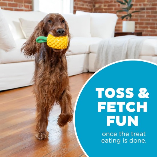 Outward Hound Planet Dog Dental Pineapple Dental Chew Toy and Interactive Treat Stuffer Durable Dog Toy Stuffable Dog Toy, Yellow Outward Hound Planet Dog Dental Pineapple Dental Chew Toy and Interactive Treat Stuffer Durable Dog Toy Stuffable Dog Toy, Yellow