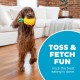 Outward Hound Planet Dog Dental Pineapple Dental Chew Toy and Interactive Treat Stuffer Durable Dog Toy Stuffable Dog Toy, Yellow Outward Hound Planet Dog Dental Pineapple Dental Chew Toy and Interactive Treat Stuffer Durable Dog Toy Stuffable Dog Toy, Yellow