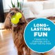 Outward Hound Planet Dog Dental Pineapple Dental Chew Toy and Interactive Treat Stuffer Durable Dog Toy Stuffable Dog Toy, Yellow Outward Hound Planet Dog Dental Pineapple Dental Chew Toy and Interactive Treat Stuffer Durable Dog Toy Stuffable Dog Toy, Yellow