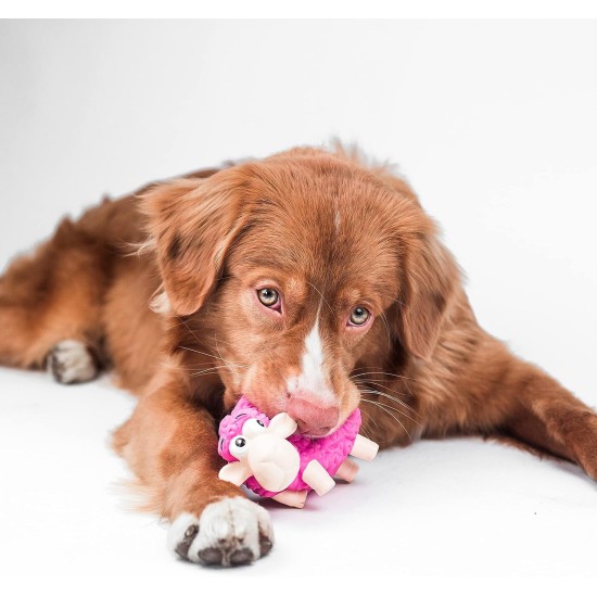 Outward Hound Tootiez Latex Sheep Grunting Dog Toy Outward Hound Tootiez Latex Sheep Grunting Dog Toy