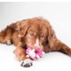 Outward Hound Tootiez Latex Sheep Grunting Dog Toy Outward Hound Tootiez Latex Sheep Grunting Dog Toy