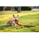Outward Hound Xtreme Seamz - Squeaky Plush Toy for Dogs - Reinforced Dense Filling - Lemur Outward Hound Xtreme Seamz - Squeaky Plush Toy for Dogs - Reinforced Dense Filling - Lemur