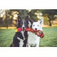 Outward Hound Xtreme Seamz - Squeaky Plush Toy for Dogs - Reinforced Dense Filling - Zebra Outward Hound Xtreme Seamz - Squeaky Plush Toy for Dogs - Reinforced Dense Filling - Zebra