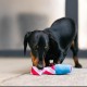 P.L.A.Y. Cute Plush Dog Toys - Birthday Party Themed Durable Squeaker Chew Toy, Great for Puppies P.L.A.Y. Cute Plush Dog Toys - Birthday Party Themed Durable Squeaker Chew Toy, Great for Puppies