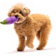 P.L.A.Y. PET Lifestyle and You P.L.A.Y. Plush Toy with Squeaky Farm Fresh Aubergine P.L.A.Y. PET Lifestyle and You P.L.A.Y. Plush Toy with Squeaky Farm Fresh Aubergine