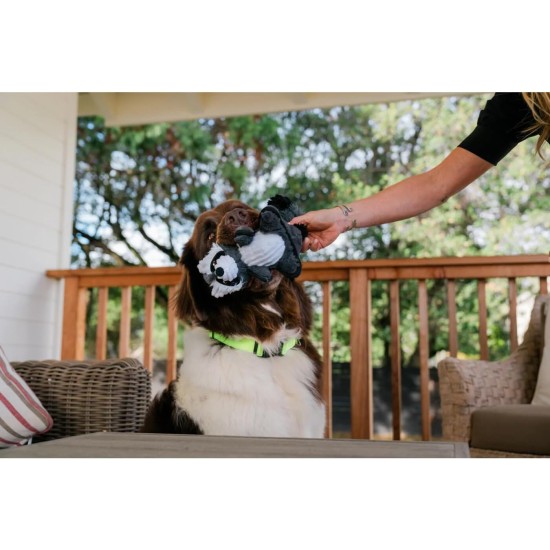 P.L.A.Y Pet Lifestyle and You Woodland Creatures - Raccoon_S P.L.A.Y Pet Lifestyle and You Woodland Creatures - Raccoon_S