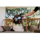 P.L.A.Y Pet Lifestyle and You Woodland Creatures - Raccoon_S P.L.A.Y Pet Lifestyle and You Woodland Creatures - Raccoon_S