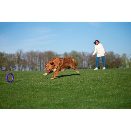 PULLER Midi Interactive Dog Toy Fitness Tool Set PULLER Midi Interactive Dog Toy Fitness Tool Set