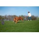 PULLER Midi Interactive Dog Toy Fitness Tool Set PULLER Midi Interactive Dog Toy Fitness Tool Set